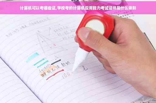 计算机可以考哪些证,学校考的计算机应用能力考试证书是什么级别