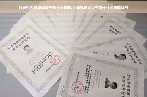 计算机四级等级证书是什么样的,计算机等级证书属于什么技能证书