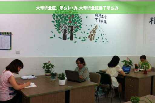 大专毕业证，怎么补/办,大专毕业证丢了怎么办