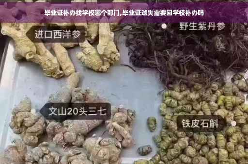 毕业证补办找学校哪个部门,毕业证遗失需要回学校补办吗