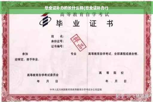 毕业证补办的长什么样(毕业证补办?)