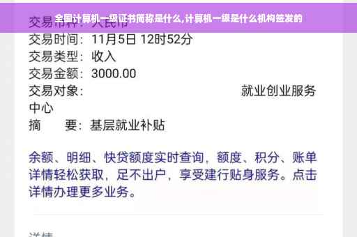 全国计算机一级证书简称是什么,计算机一级是什么机构签发的