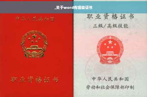 ,关于word有哪些证书