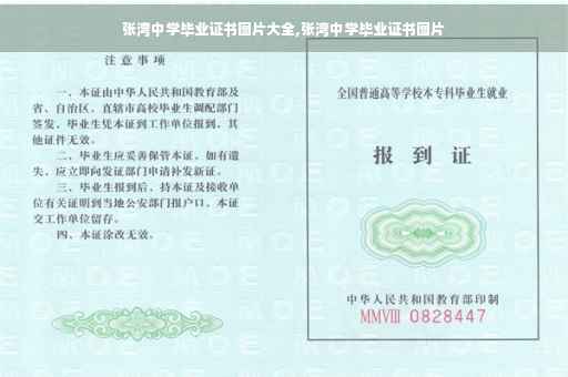 张湾中学毕业证书图片大全,张湾中学毕业证书图片