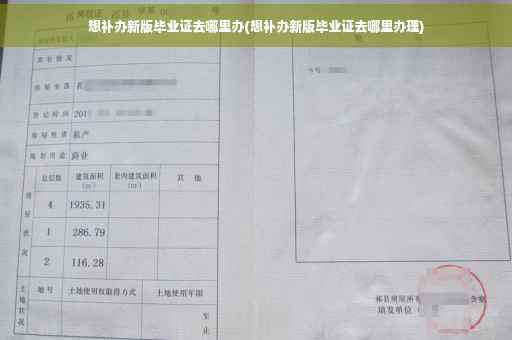 想补办新版毕业证去哪里办(想补办新版毕业证去哪里办理)