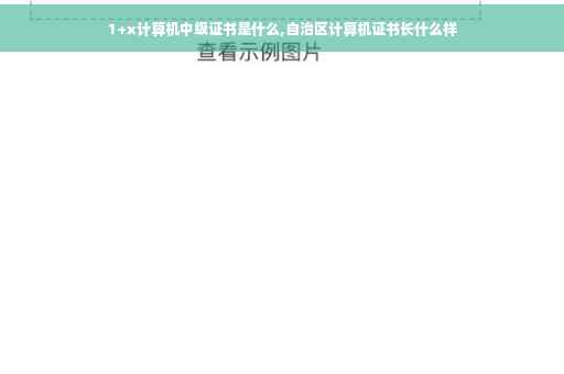 1+x计算机中级证书是什么,自治区计算机证书长什么样