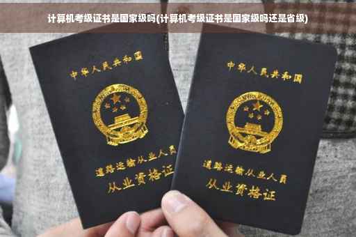 计算机考级证书是国家级吗(计算机考级证书是国家级吗还是省级)