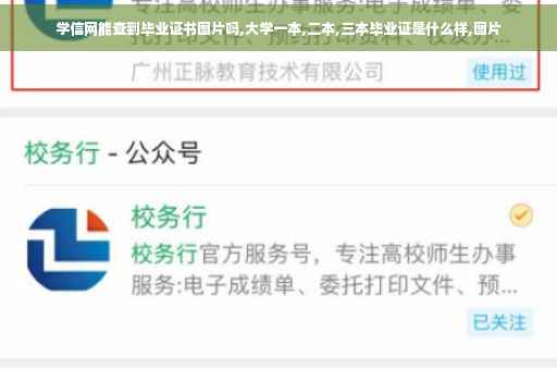 学信网能查到毕业证书图片吗,大学一本,二本,三本毕业证是什么样,图片