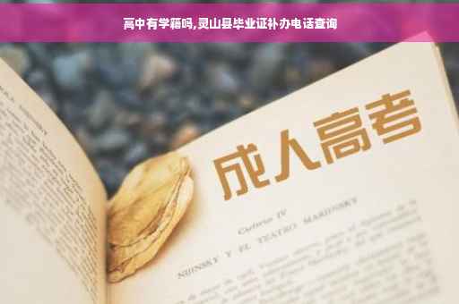 高中有学籍吗,灵山县毕业证补办电话查询