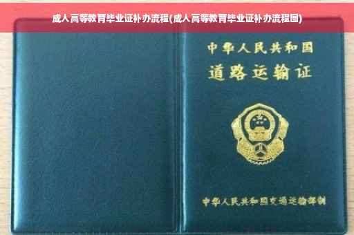 成人高等教育毕业证补办流程(成人高等教育毕业证补办流程图)