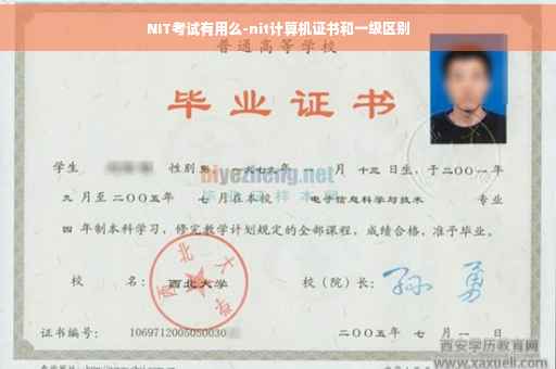 NIT考试有用么-nit计算机证书和一级区别