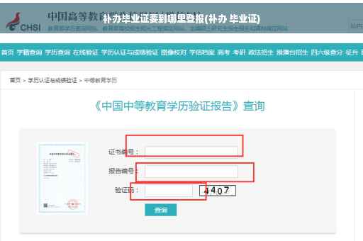 补办毕业证要到哪里登报(补办 毕业证)