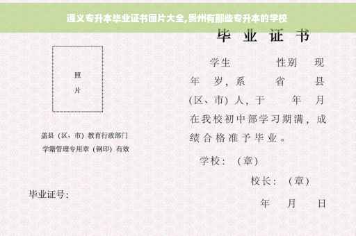 遵义专升本毕业证书图片大全,贵州有那些专升本的学校