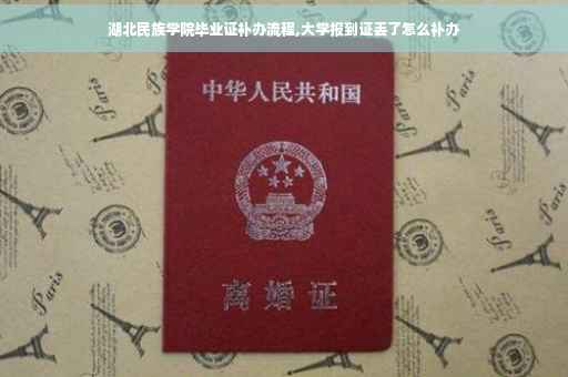 湖北民族学院毕业证补办流程,大学报到证丢了怎么补办