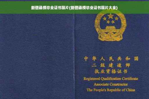 新疆函授毕业证书图片(新疆函授毕业证书图片大全)