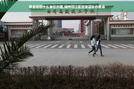 就业证在什么单位办理,扬州邗江区毕业证补办地点