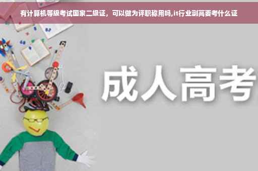 有计算机等级考试国家二级证，可以做为评职称用吗,it行业副高要考什么证