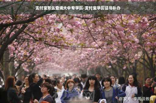 支付宝怎么查询大中专学历-支付宝学历证书补办