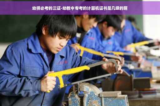 幼师必考的三证-幼教中专考的计算机证书是几级的啊 幼师必考的三证-幼教中专考的计算机证书是几级的啊