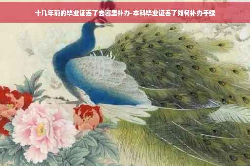 十几年前的毕业证丢了去哪里补办-本科毕业证丢了如何补办手续