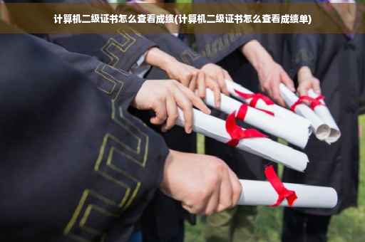 计算机二级证书怎么查看成绩(计算机二级证书怎么查看成绩单)