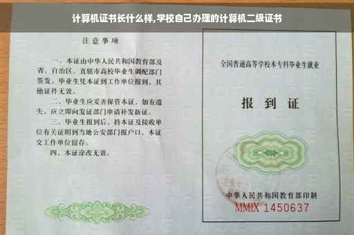 计算机证书长什么样,学校自己办理的计算机二级证书