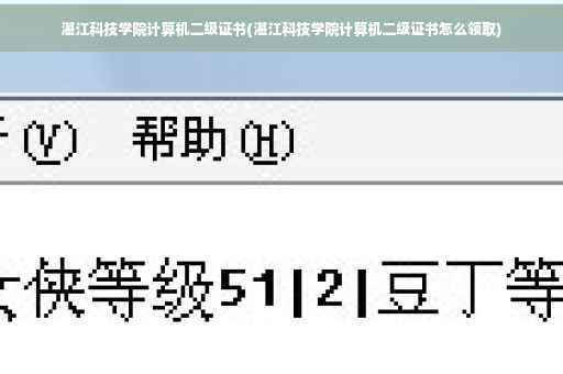 湛江科技学院计算机二级证书(湛江科技学院计算机二级证书怎么领取)