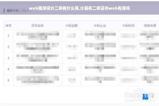 web程序设计二级有什么用,计算机二级证书web有用吗