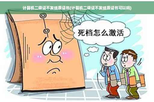 计算机二级证不发纸质证书(计算机二级证不发纸质证书可以吗)