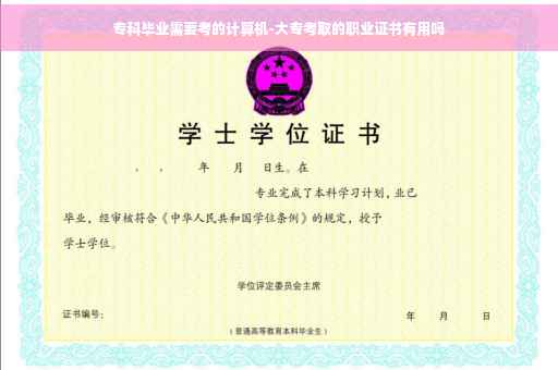 专科毕业需要考的计算机-大专考取的职业证书有用吗