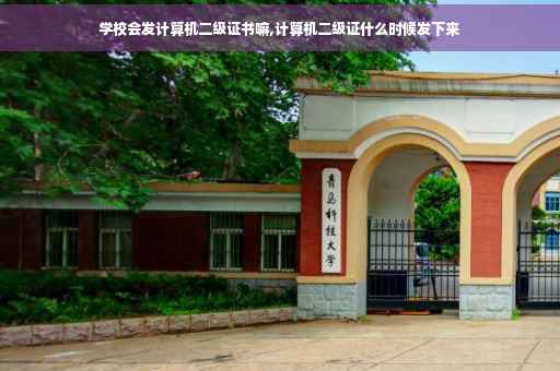 学校会发计算机二级证书嘛,计算机二级证什么时候发下来