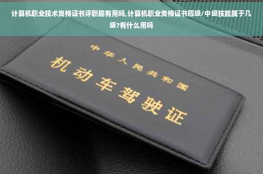 计算机职业技术资格证书评职称有用吗,计算机职业资格证书四级/中级技能属于几级?有什么用吗