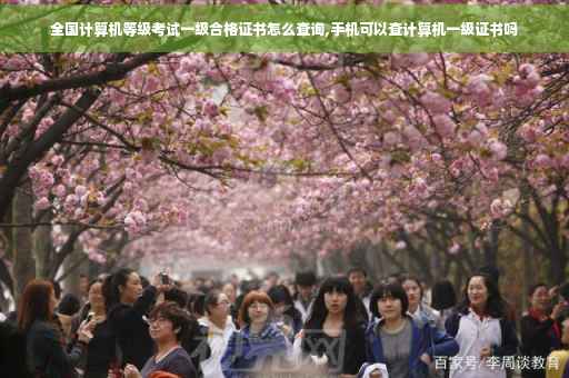 全国计算机等级考试一级合格证书怎么查询,手机可以查计算机一级证书吗