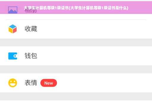大学生计算机等级1级证书(大学生计算机等级1级证书是什么)