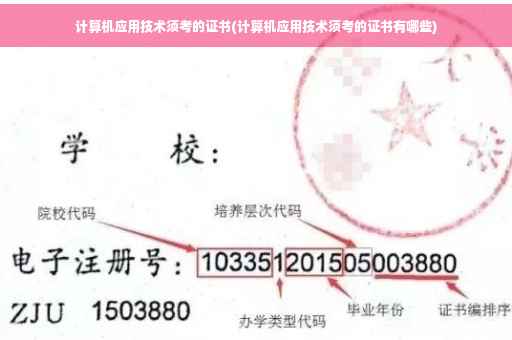 计算机应用技术须考的证书(计算机应用技术须考的证书有哪些)