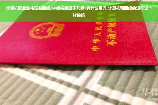 计算机职业资格证书四级/中级技能属于几级?有什么用吗,计算机和四级的通行证一样的吗