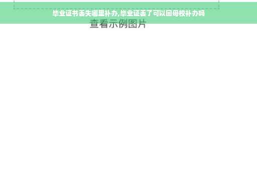 毕业证书丢失哪里补办,毕业证丢了可以回母校补办吗