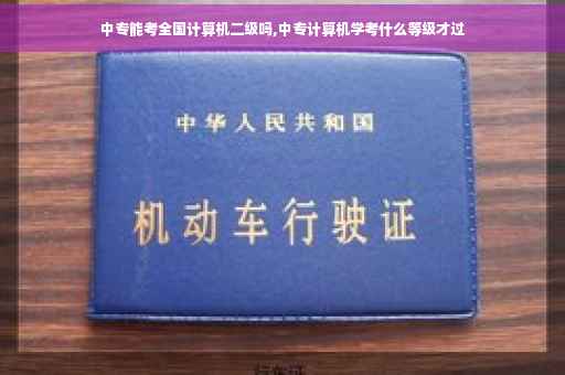 中专能考全国计算机二级吗,中专计算机学考什么等级才过