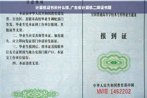 计算机证书长什么样,广东省计算机二级证书图