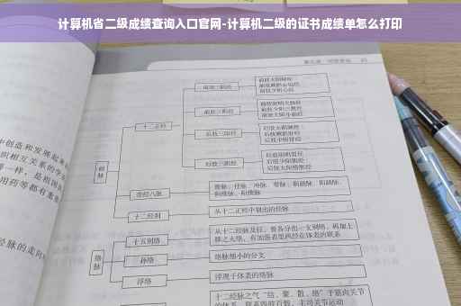 计算机省二级成绩查询入口官网-计算机二级的证书成绩单怎么打印