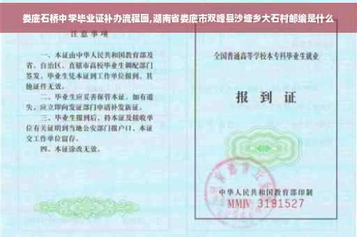 娄底石桥中学毕业证补办流程图,湖南省娄底市双峰县沙塘乡大石村邮编是什么