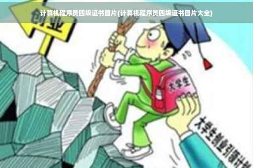 计算机程序员四级证书图片(计算机程序员四级证书图片大全)