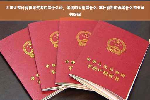 大学大专计算机考试考的是什么证，考试的大纲是什么-学计算机的要考什么专业证书好呢