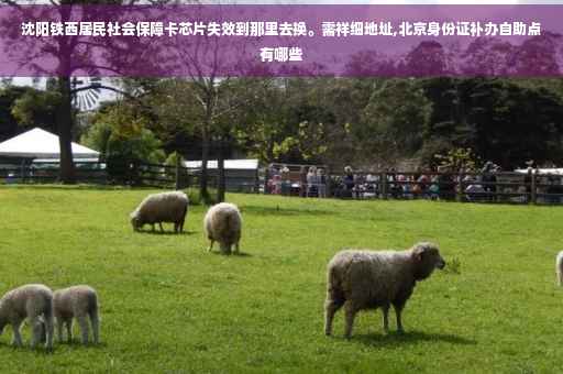 沈阳铁西居民社会保障卡芯片失效到那里去换。需祥细地址,北京身份证补办自助点有哪些