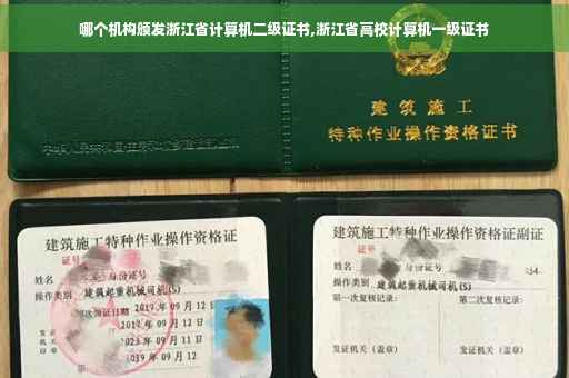 哪个机构颁发浙江省计算机二级证书,浙江省高校计算机一级证书