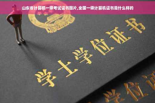 山东省计算机一级考试证书图片,全国一级计算机证书是什么样的