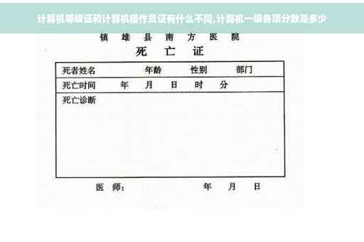 计算机等级证和计算机操作员证有什么不同,计算机一级各项分数是多少