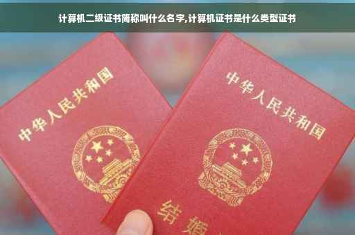 计算机二级证书简称叫什么名字,计算机证书是什么类型证书