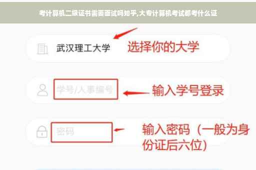 考计算机二级证书需要面试吗知乎,大专计算机考试都考什么证