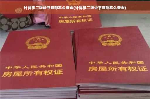 计算机二级证书直邮怎么查看(计算机二级证书直邮怎么查看)